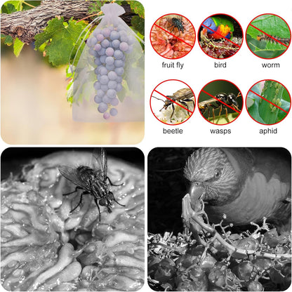 Buy 1 Get 1 Free🔥Protective Mesh Cover for Fruit Trees