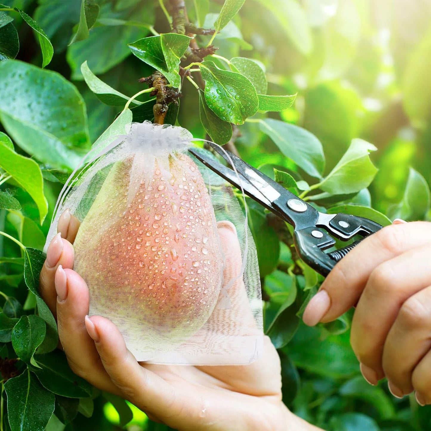 Buy 1 Get 1 Free🔥Protective Mesh Cover for Fruit Trees