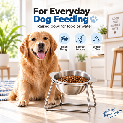 🥣 15° Tilted Orthopaedic Feeding Bowl