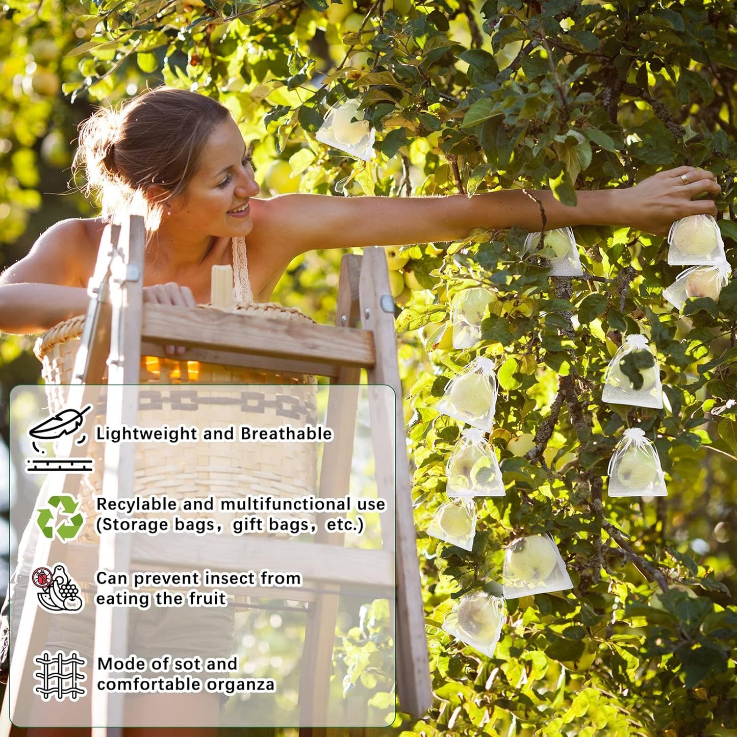 Buy 1 Get 1 Free🔥Protective Mesh Cover for Fruit Trees