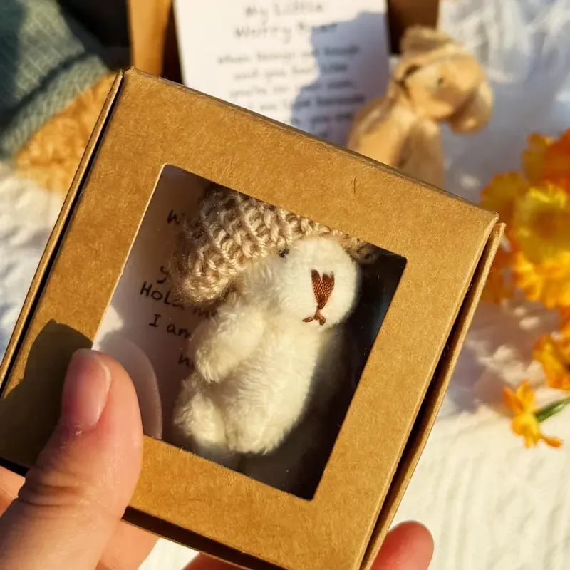 🎁Handmade Mini Plush Teddy Bear in Box🧸