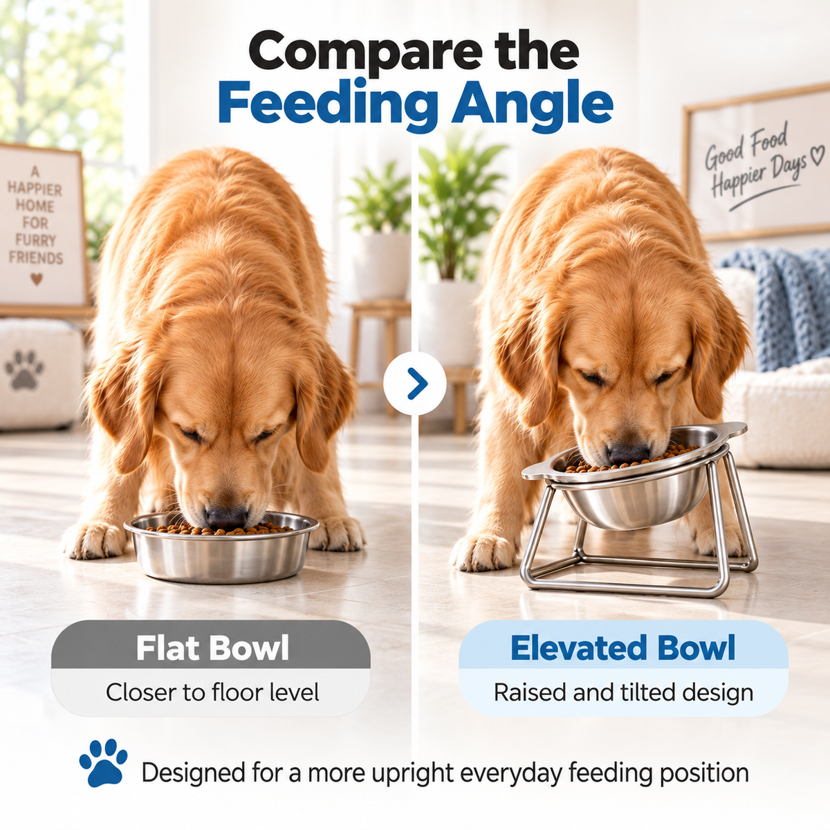 🥣 15° Tilted Orthopaedic Feeding Bowl