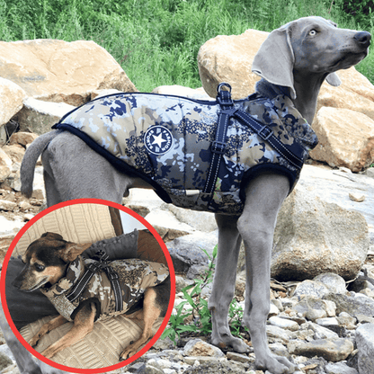 🐶3 in 1 Winter Waterproof Warm Dog Jacket With Built-in Harness