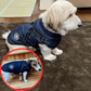🐶3 in 1 Winter Waterproof Warm Dog Jacket With Built-in Harness