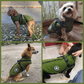 🐶3 in 1 Winter Waterproof Warm Dog Jacket With Built-in Harness