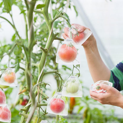 Buy 1 Get 1 Free🔥Protective Mesh Cover for Fruit Trees