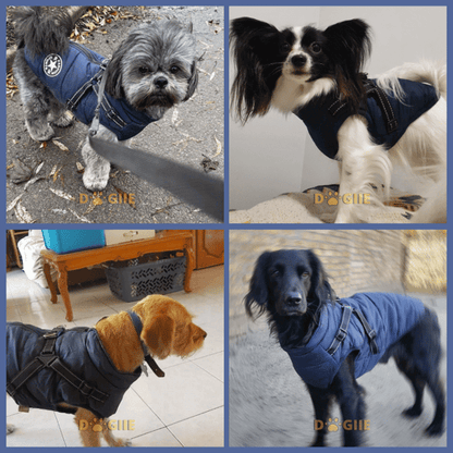 🐶3 in 1 Winter Waterproof Warm Dog Jacket With Built-in Harness