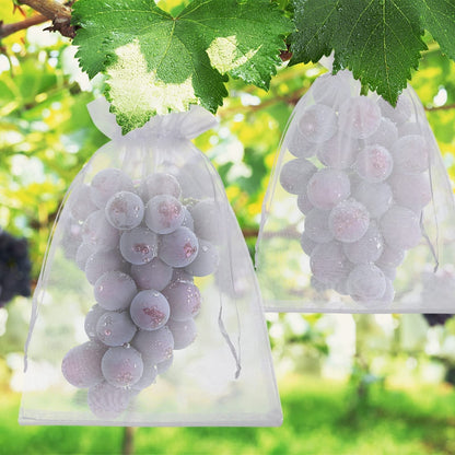 Buy 1 Get 1 Free🔥Protective Mesh Cover for Fruit Trees