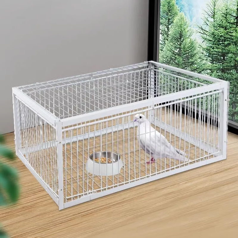 Cage à Oiseaux à Piège Automatique - Entrée seulement, pas de sortie