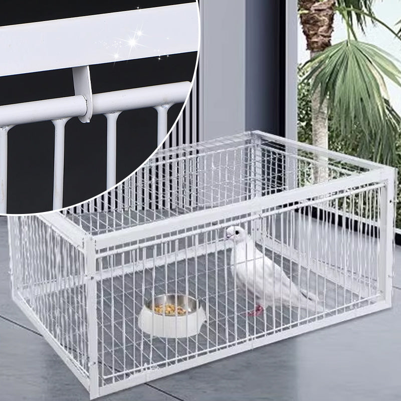 Cage à Oiseaux à Piège Automatique - Entrée seulement, pas de sortie