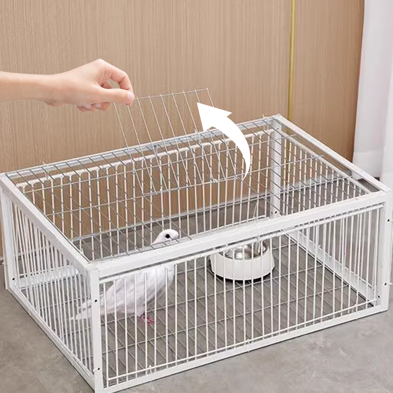 Cage à Oiseaux à Piège Automatique - Entrée seulement, pas de sortie