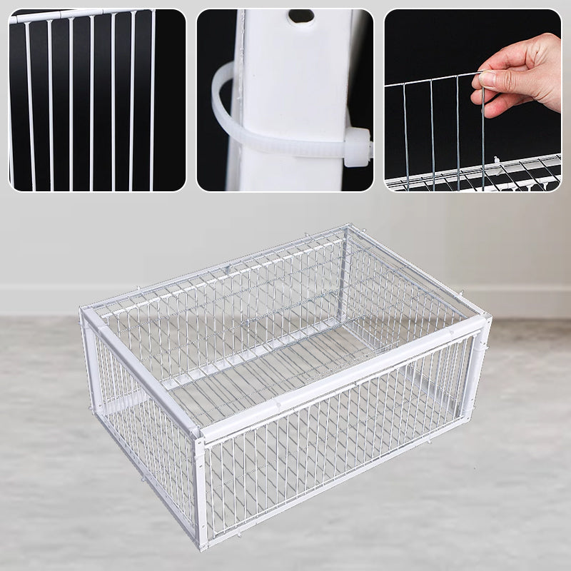 Cage à Oiseaux à Piège Automatique - Entrée seulement, pas de sortie