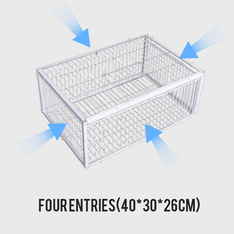 Cage à Oiseaux à Piège Automatique - Entrée seulement, pas de sortie