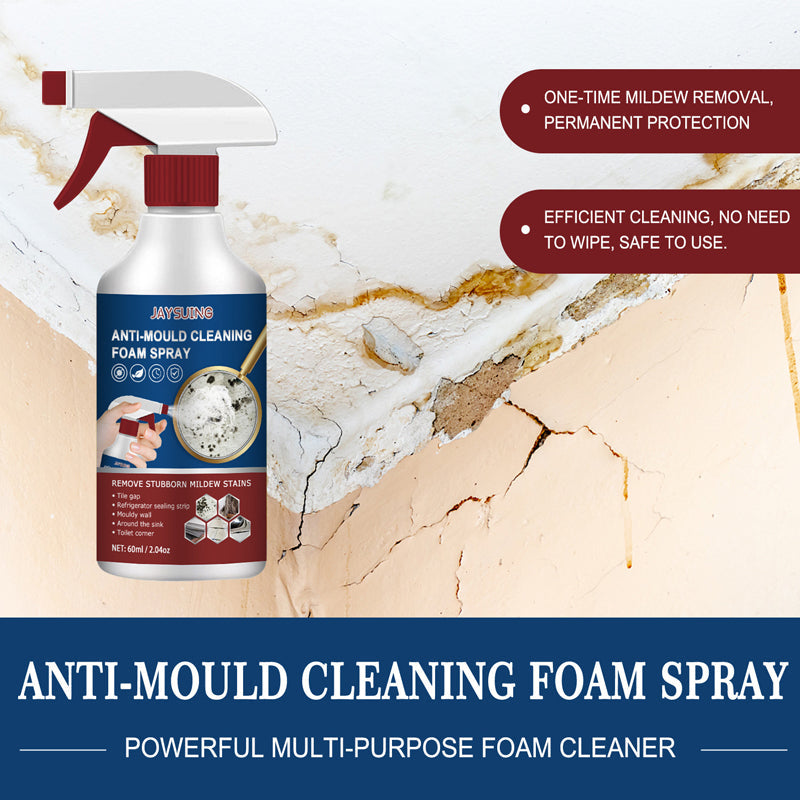 Anti-Mould Cleaning Foam Spray