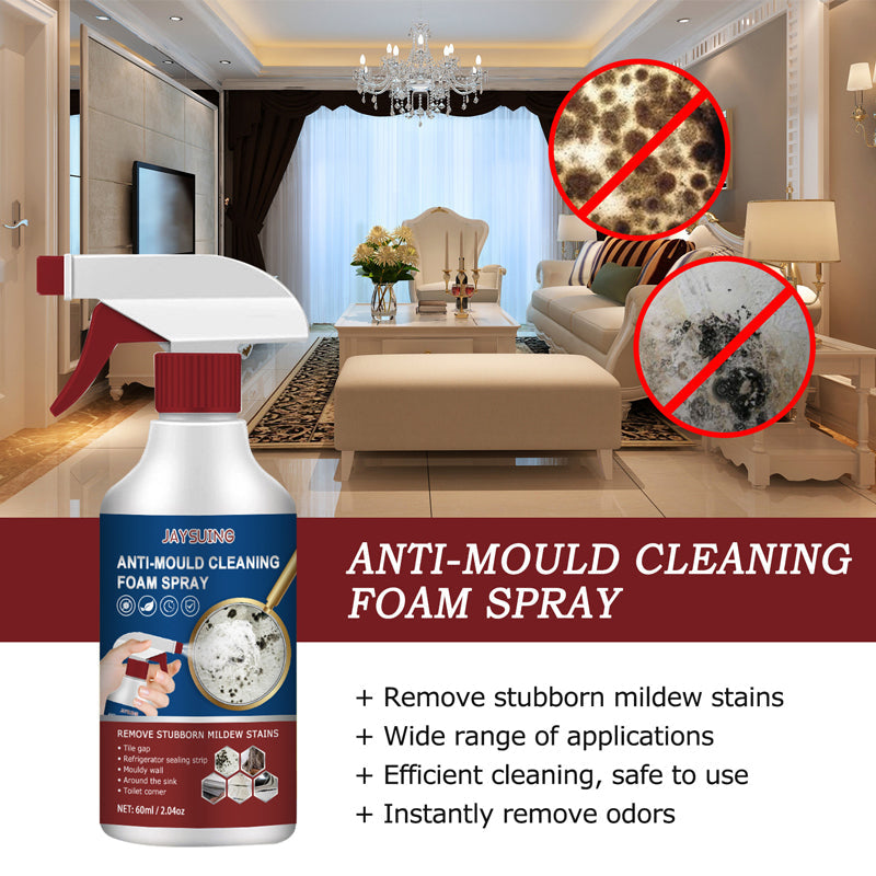 Anti-Mould Cleaning Foam Spray