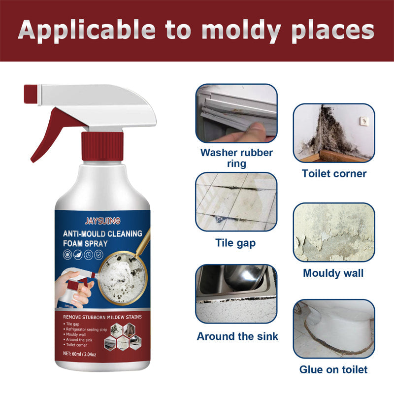 Anti-Mould Cleaning Foam Spray