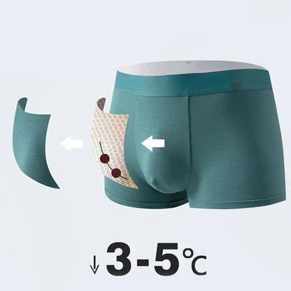 🔥Buy 1 get 2 free⌛Men's Summer Magnetic Ice Cool Anti-bacterial Underwear