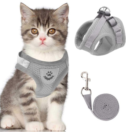 Adjustable Breathable And Light-up Harness and Leash Set for Pets