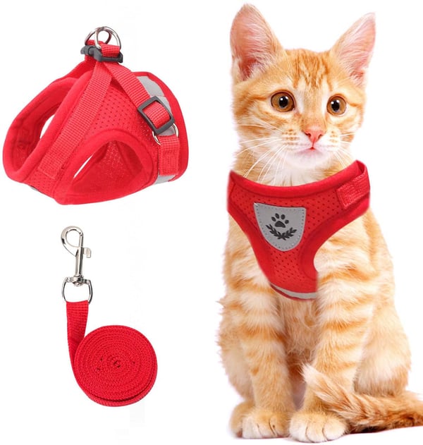 Adjustable Breathable And Light-up Harness and Leash Set for Pets