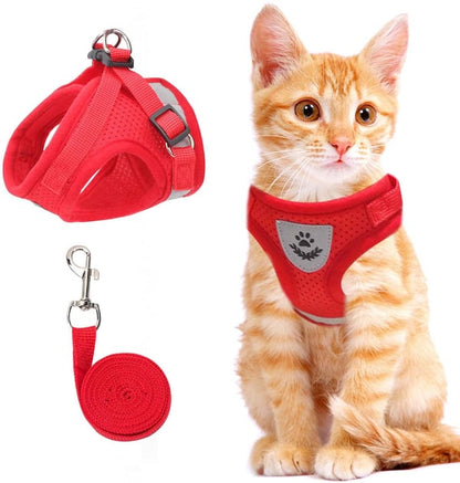 Adjustable Breathable And Light-up Harness and Leash Set for Pets