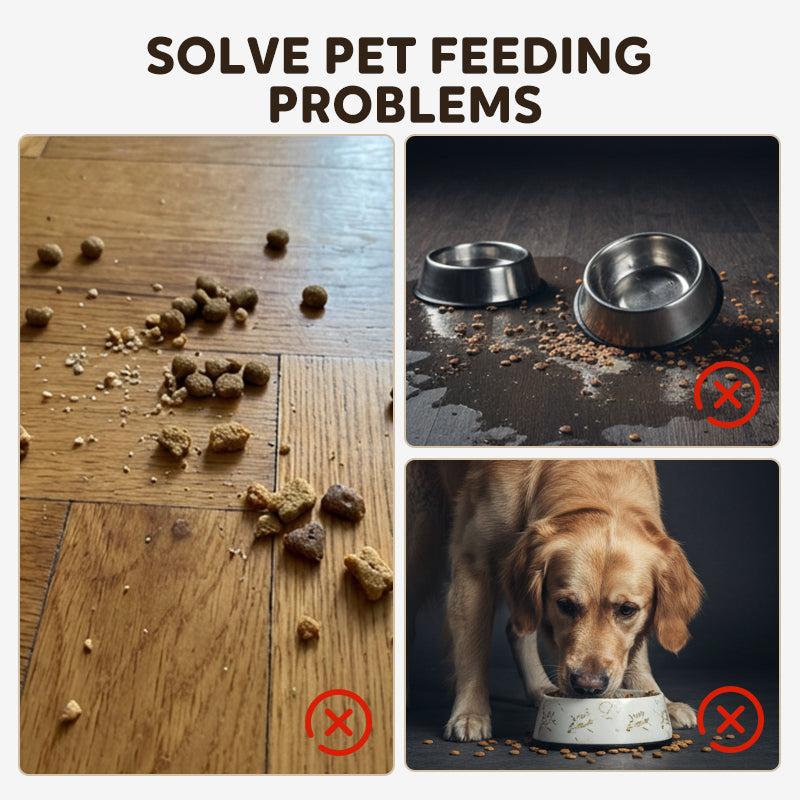 Interactive Pet Treat Launcher & Feeder