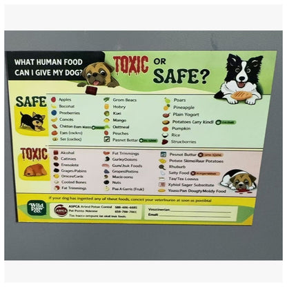 Cat Food Safety Guide Magnet