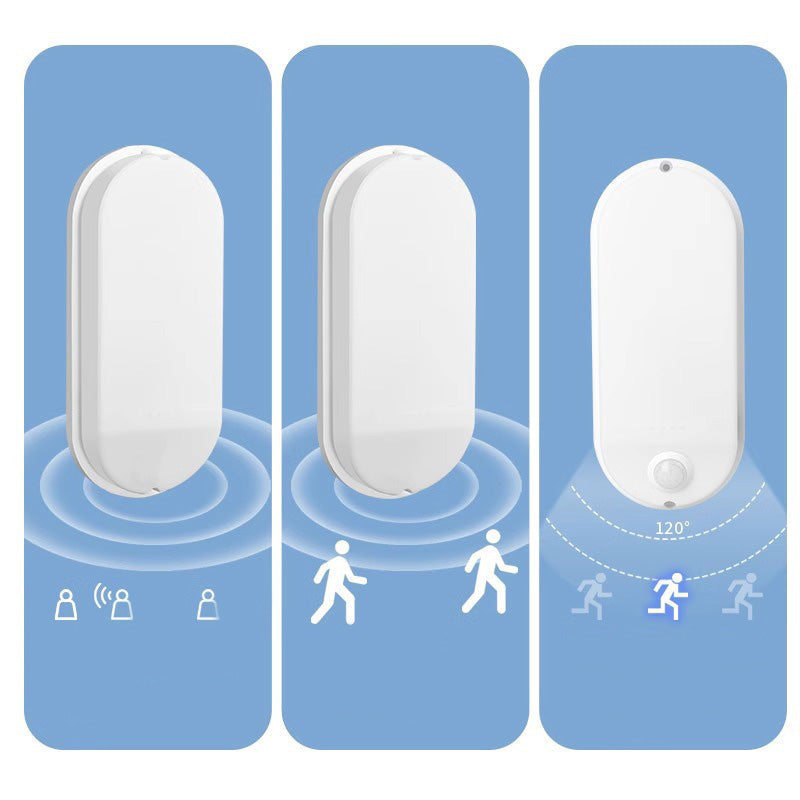 Motion Activated LED Wall Light