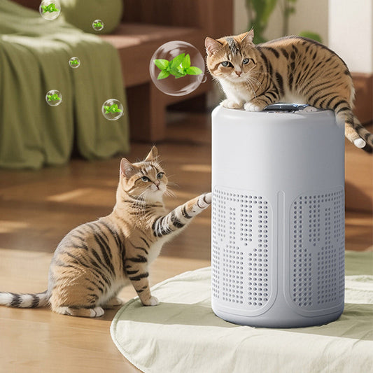 🌬️ Compact Home Air Purifier –  Quiet, energy-efficient, and perfect for allergy sufferers, dust, and pet hair 🏠