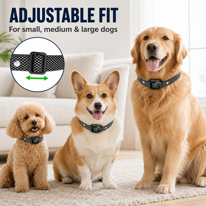🐕🐾 Anti Bark Collar – Smart anti‑false triggering filters out other barks. IP67 waterproof & USB rechargeable – worry‑free training anywhere! 💦✅