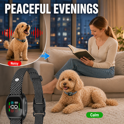 🐕🐾 Anti Bark Collar – Smart anti‑false triggering filters out other barks. IP67 waterproof & USB rechargeable – worry‑free training anywhere! 💦✅